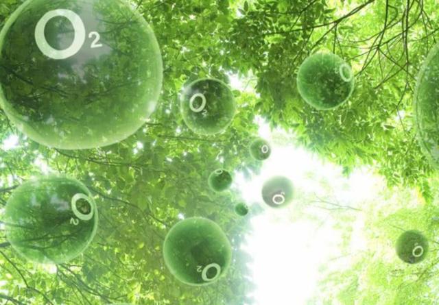 变压吸附制氧流程介绍